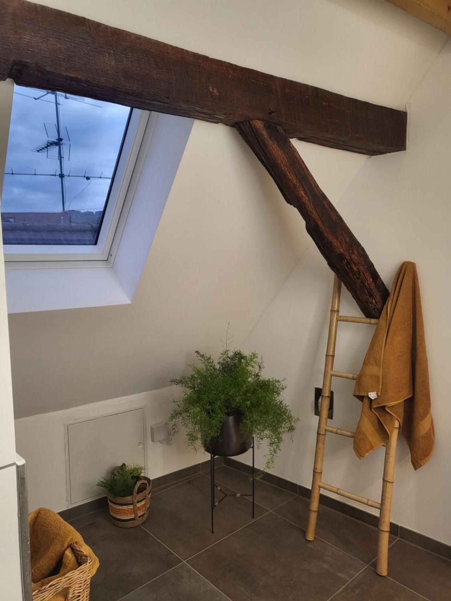 Ferienwohnung Im Rebstock Nr.1 Bahlingen  Eksteriør billede